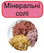 05012cxo-445a-182x217.png