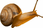 05012d35-1cd4-150x97.png