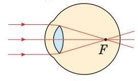 05012fho-1c80-270x160.jpg
