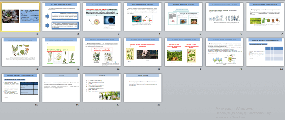 05012flj-8d08-940x397.png