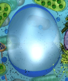 05012jky-38bb-223x265.png