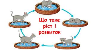 Презентація на тему "Що таке  ріст і розвиток" 6 клас НУШ