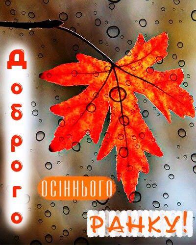 05012l42-a11b-400x500.jpg