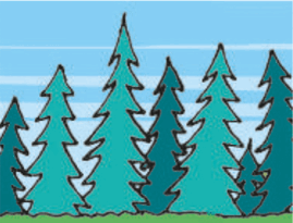 05012lpn-12ac-269x205.png
