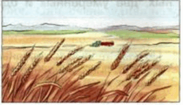 05012lu8-7197-267x154.png