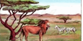 05012lvc-026d-287x143.png