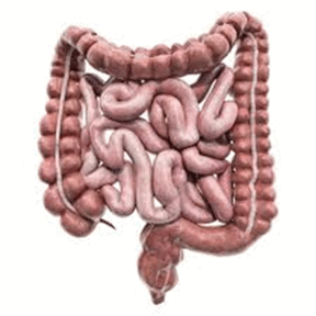 05012m7l-7e05-288x288.png