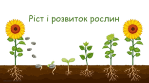 Презентація "Ріст і розвиток рослин" Інтегрований курс "Пізнаємо природу" 6 клас НУШ