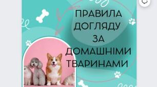 Матеріали "Всесвітній день домашніх тварин"