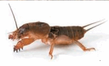 05012ohy-471d-216x131.png