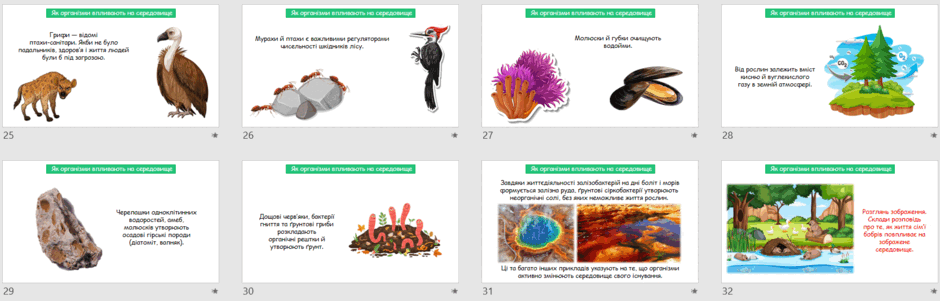 05012ol6-510c-940x301.png