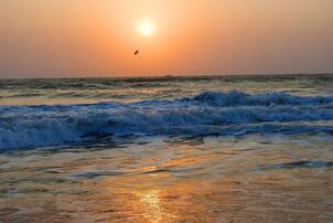 05012p9a-cb88-302x202.jpg
