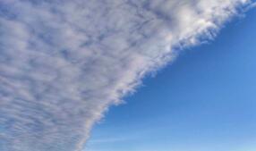 05012pli-48a8-286x169.jpg