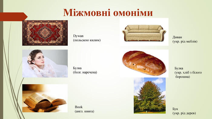 Омоніми, їх види: омоформи, омофони, омографи, міжмовні омоніми. Повні ...