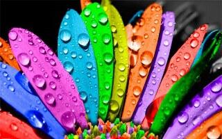 05012q2q-a49d-320x200.jpg
