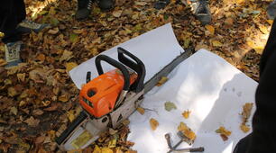 Forestry terms