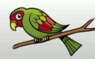 05012s49-9104-192x120.png