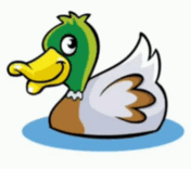 05012s6p-e736-176x156.png