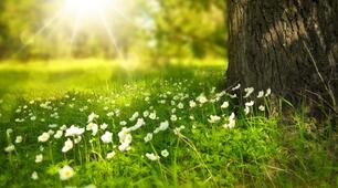 Докладний переказ тексту з елементами опису приміщення.