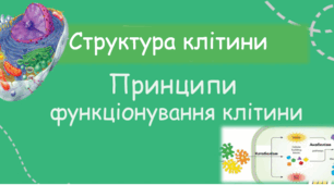 Узагальнення та систематизація знань, вмінь і навичок з теми «Структура клітини» та «Принципи функціонування клітини»
