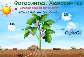 05012umb-7ec0-273x186.png