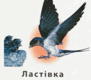 05012wbw-455e-91x80.png