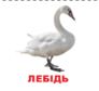 05012wc5-069d-92x84.png