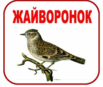 05012wct-470a-103x87.png