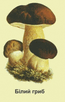 05012wfo-5fe3-96x151.png