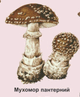 05012wfs-e4ee-102x124.png