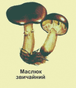 05012wfv-6f87-94x109.png