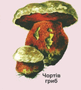 05012wfy-b620-108x120.png