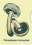 05012wfz-652e-95x134.png