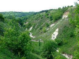 Шкаліків яр — Вікіпедія