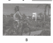 050130as-5479-179x146.png