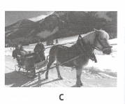 050130c4-0665-179x149.png