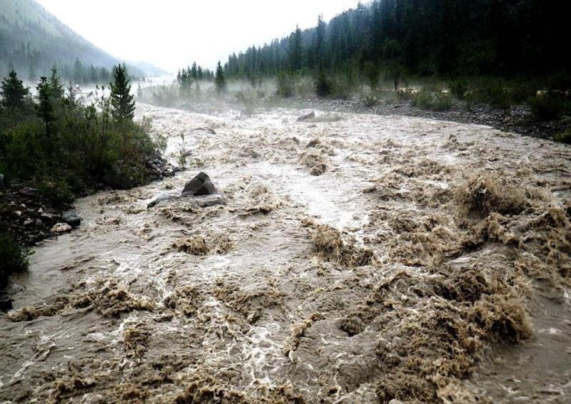 На Калущині вода підтоплює села, на автомобіль впало дерево (ВІДЕО)