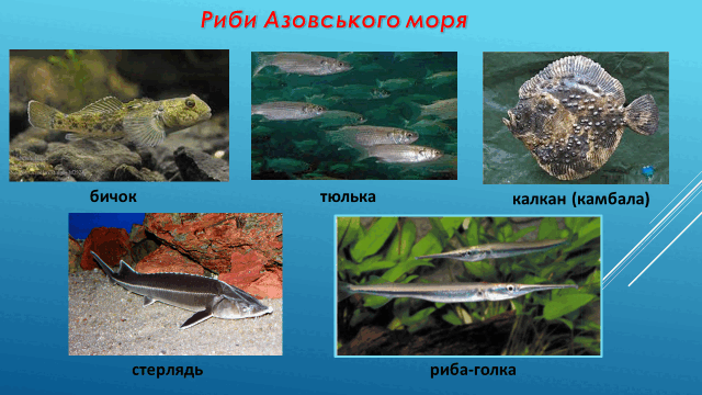 050130h1-7a95-640x360.png