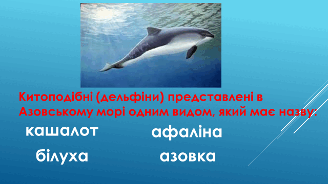 050130ho-4fac-640x360.png