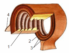 0501322r-e2c1-243x186.png