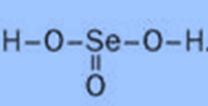 050134l7-0273-300x154.png