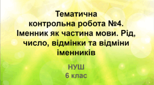 Діагностувальна робота. Іменник як частина мови. Рід, число, відмінки та відміни іменників (НУШ)