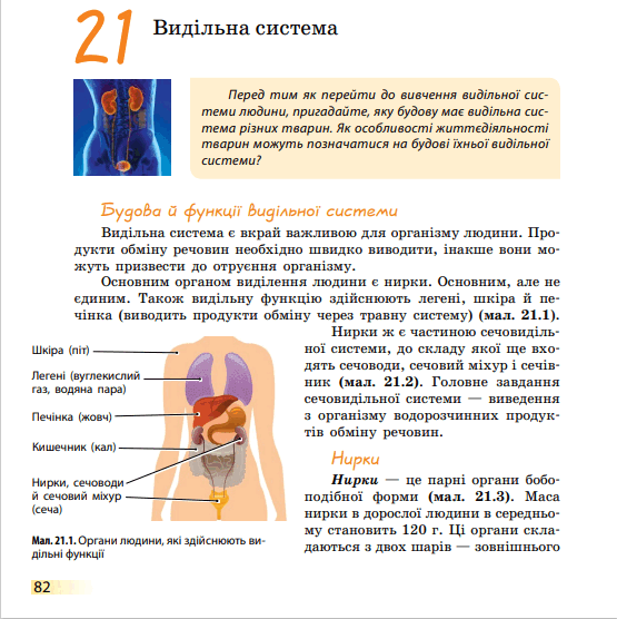 0501361o-d591-555x556.png