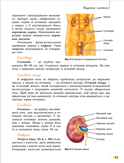 05013624-4f1d-486x638.png