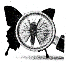 050136qk-0486-230x218.png