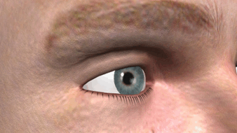 050136wr-1f24-338x190.png