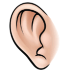 050137q5-39b2-132x144.png