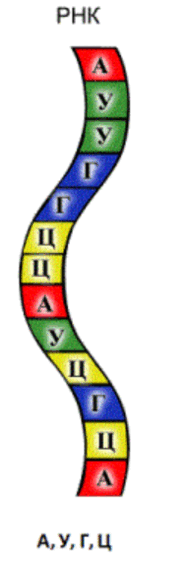050137zp-f86d-189x571.png