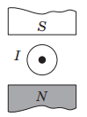 050138xw-ad1d-99x132.png