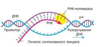 050139c8-ad96-328x159.jpg
